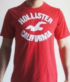 Camisa Hollister